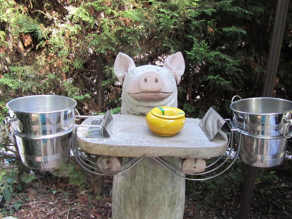 Le Mas Shabanou Bed and Breakfast Roquefort-les-Pins Esterno foto