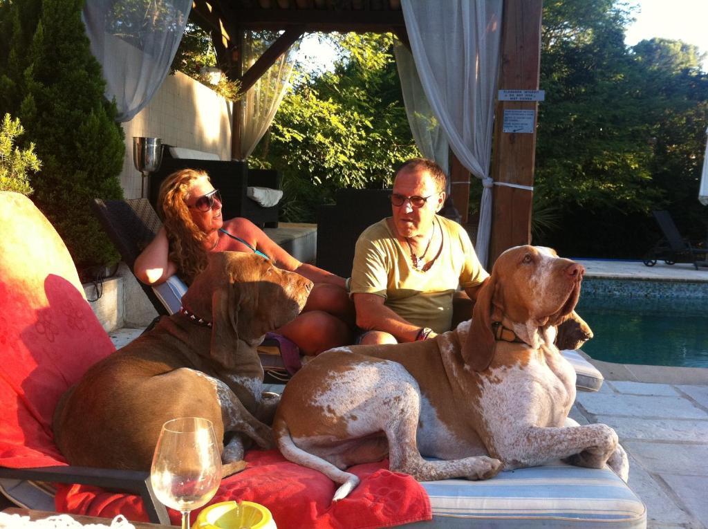 Le Mas Shabanou Bed and Breakfast Roquefort-les-Pins Esterno foto
