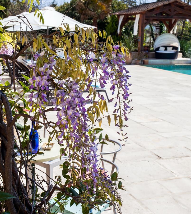 Le Mas Shabanou Bed and Breakfast Roquefort-les-Pins Esterno foto